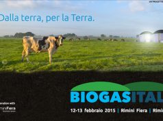 Biogas: l’Italia è terzo produttore al mondo dopo Germania e Cina