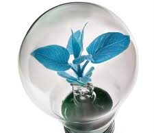 Nucleare addio: il futuro si chiama Blue Economy