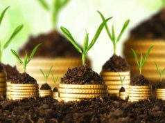 Risparmio energetico e capitale naturale, in arrivo nuovi fondi UE