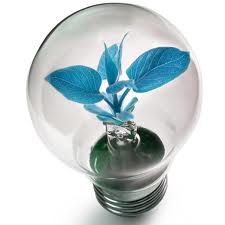 La qualità e il ruolo delle informazioni sul tema delle energie rinnovabili