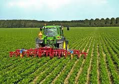 Imu agricola: c’è tempo fino al 31 marzo