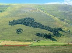 Energie rinnovabili, forti all’estero ma perdiamo in patria