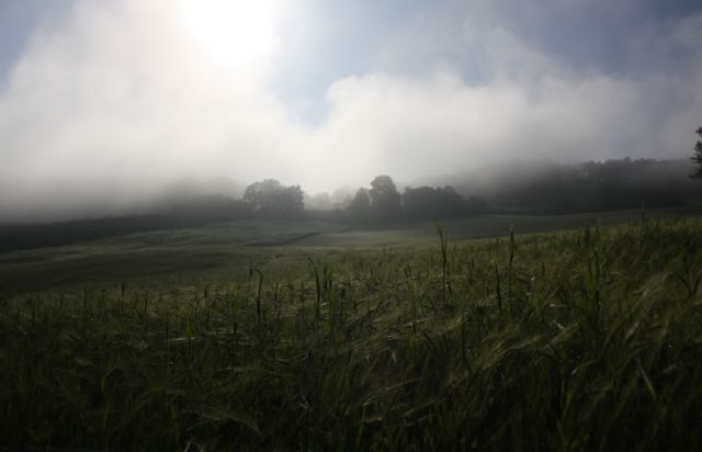 Radicondoli e dintorni raccontati nelle fotografie di Tamara Porcu
