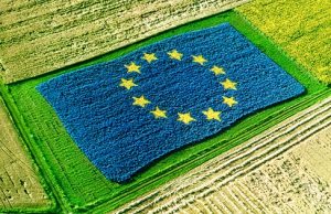 Agricoltura, ok dai Paesi Ue al nuovo regolamento bio
