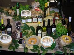 Autosufficienza energetica e sostenibilità alimentare, l’esempio toscano “La geotermia sposa l’agroalimentare, Toscana primo esempio al mondo“
