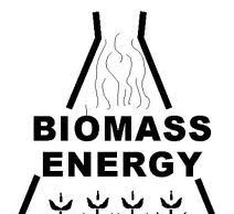 Complessità e prospettive degli utilizzi energetici delle biomasse in Italia