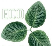 Ecobonus verso l’approvazione: dal 2014 gli ecoincentivi saranno stabilizzati