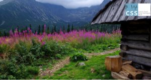 Patrimoni Culturali Immateriali UNESCO e sviluppo dei territori montani / Salone del Libro di Torino