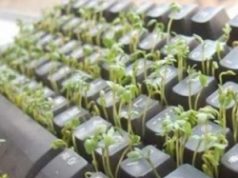 Il nuovo seminario per operatori dell’informazione: “Geotermia: Passato e Futuro di una risorsa strategica toscana”