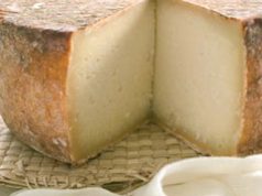 Si fa con il latte crudo il pecorino del Pastore