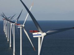 I parchi eolici offshore proteggono anche gli ecosistemi marini