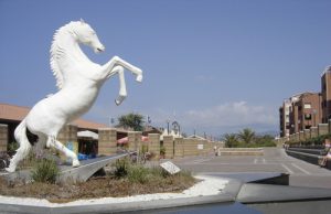 100 anni di Geotermia nel “Trofeo del Granducato” nel nuoto Grosseto