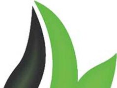 Bari – 5a GIORNATA DELL’ENERGIA PULITA Fotovoltaico, biomasse, geotermia: scenari, opportunità e sviluppi