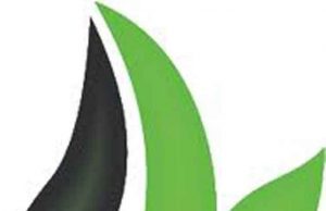 Bari – 5a GIORNATA DELL’ENERGIA PULITA Fotovoltaico, biomasse, geotermia: scenari, opportunità e sviluppi