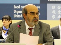 FAO. un rapporto esplora possibilità di energia geotermica