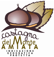 Castagna, dopo il disastro 2014 l'Amiata adesso punta al rilancio