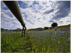 Toscana: la geotermia EnelGreenPower fa segnare il record.