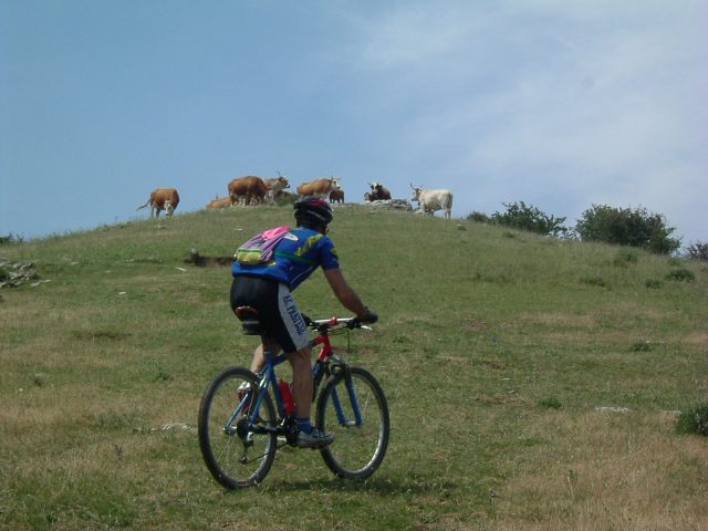 Turismo: Un sentiero dall’Amiata al mare