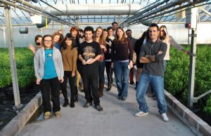 Da oggi nella zona geotermica si parla di cibo