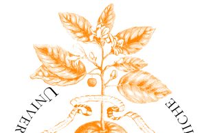 Gli studenti dell’Università di Scienze Gastronomiche di Pollenzo tornano nei territori delle aree geotermiche