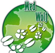 Amiata: chiuso il bando “MedWolf”