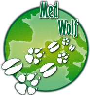 Amiata: chiuso il bando “MedWolf”