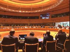 Rinnovabili ed efficienza energetica, l’Italia fa un passo avanti in Europa e punta al 35%