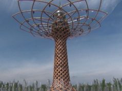 La cultura in Valdicecina è buona. E va all’Expo