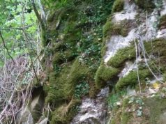 La magia del Monte Amiata svela un’altra grotta delle fate