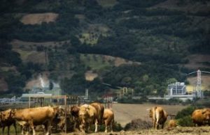 In Toscana lo Slow food è geotermico
