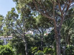 Se Palazzo dei Normani diventa esempio