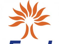 Ingegneri cercansi: l’offerta di Enel