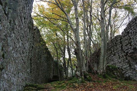 Visita guidata al Castello di Sassoforte