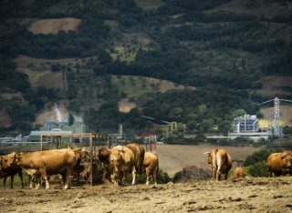 In Toscana lo Slow food è geotermico