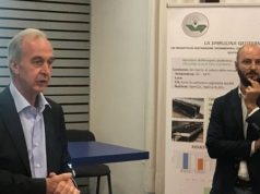 Geotermia: Alga spirulina, risultati positivi dalla sperimentazione