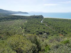 Il Parco della Maremma cerca guide ambientali