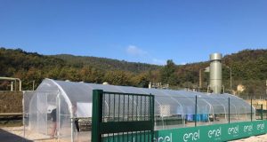 Geotermia: alga spirulina, conclusa la sperimentazione con risultati positivi