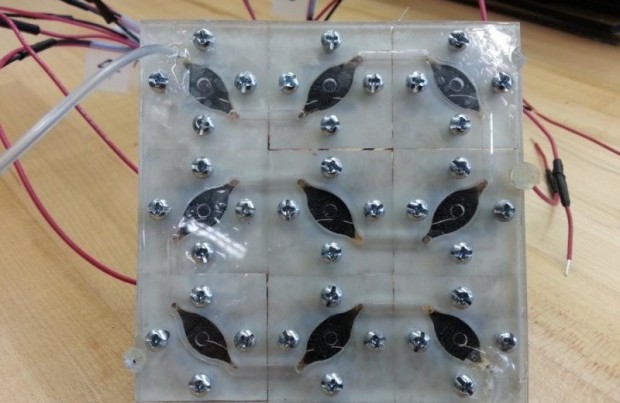 Fotovoltaico biologico, arriva il pannello solare microbico