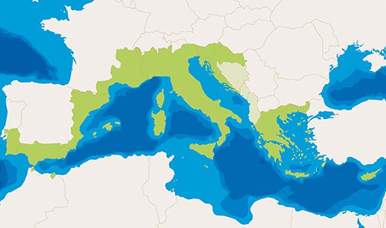 La giunta impegna 450 mila euro per cooperazione e attività internazionali della Toscana