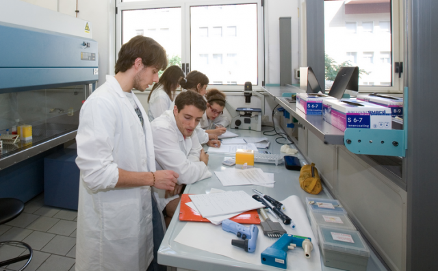 Energia e occupazione, i comparti e le figure professionali in ascesa