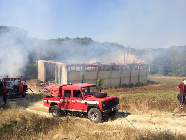 In fiamme un capannone agricolo