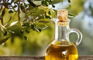 Olio extravergine, al via la selezione regionale 2018