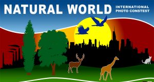 “Scatti Rinnovabili” con Enel