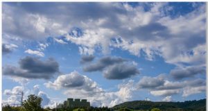 Nessun disboscamento per la centrale a biomasse