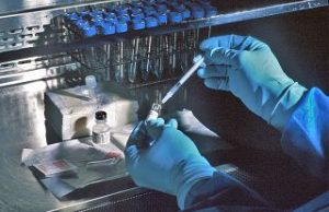 Gli incontri con lo specialista, le vaccinazioni