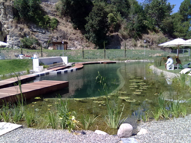 Castelnuovo Val di Cecina: Piscina geotermica, bando per la nuova gestione