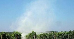 Alte temperature, Remaschi: “Garantiremo ad aziende agricole attività irrigua necessaria”