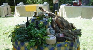 La geotermia sbarca a Festambiente