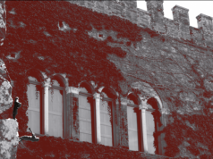 Turismo a Montecatini Val di Cecina: Un labirinto umano a Querceto