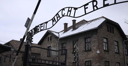 Monterotondo M.mo: Viaggio ad Auschwitz